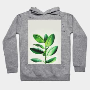 Ficus on White Hoodie